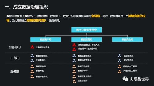集團數據管控與數據治理解決方案 打造高效、可信的數據處理服務